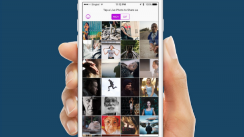 تطبيق لتحويل صور Live Photos إلى صور GIF تطبيق لتحويل صور Live Photos إلى صور GIF