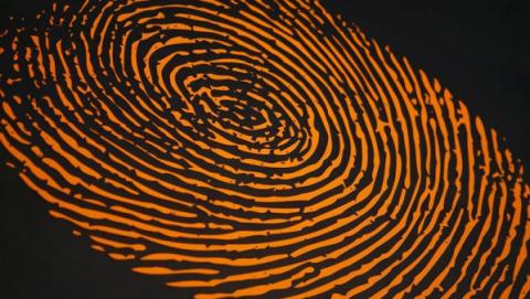 شركة تكشف عن تقنية جديدة تَعِد بجعل شاشات الهواتف تقرأ بصمات الأصابع شركة تكشف عن تقنية جديدة تَعِد بجعل شاشات الهواتف تقرأ بصمات الأصابع